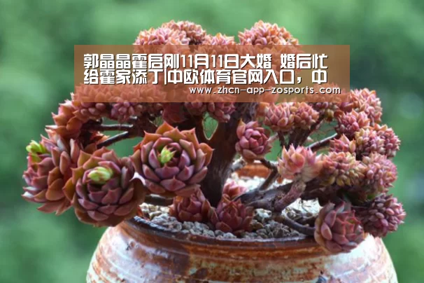 中欧体育官网入口，中欧体育官方下载，中欧体育平台