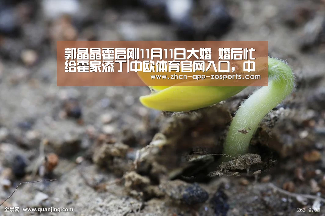 中欧体育官网入口，中欧体育官方下载，中欧体育平台